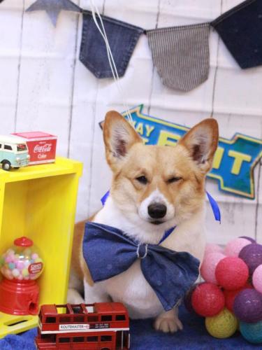 20230425はるちゃん